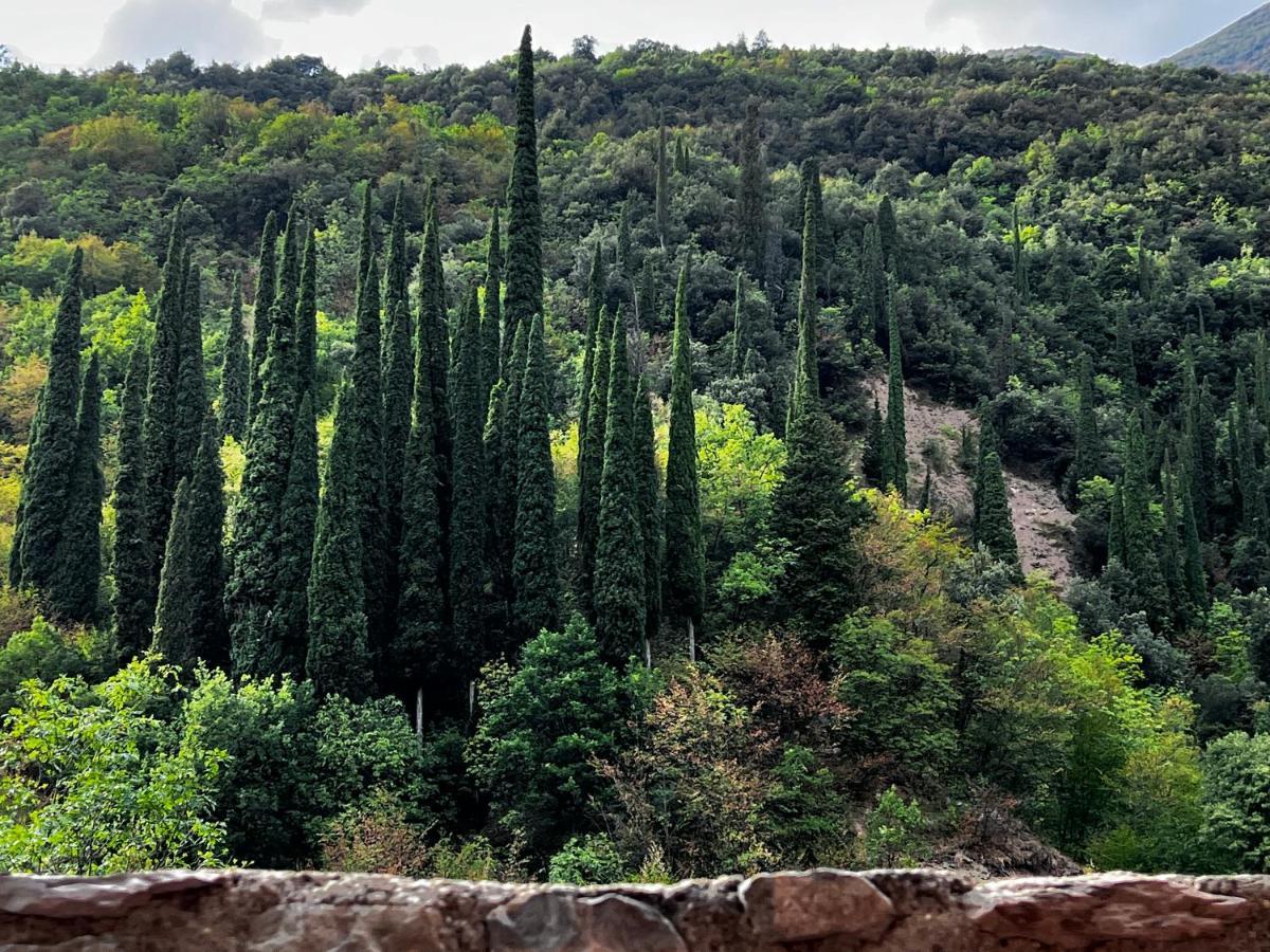 Casa Lindner Villa Rustico Ferienhaus 400M Zum Gardasee 13Schlafplaetze Toscolano-Maderno Kültér fotó